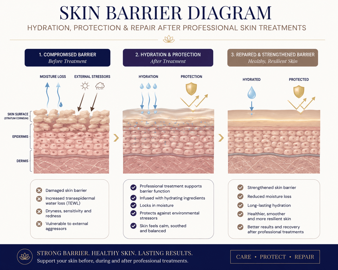 Skin barrier diagram showing hydration protection and repair after professional skin treatments